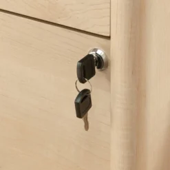 Whitaker Point 2 Drawer Lateral File Natural Maple - Sauder -WorkHaven Sales Shop GUEST 7ca39bdd 5db5 47c5 a56f e0ff3ff95f4f