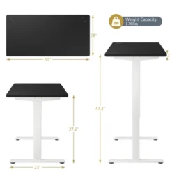 Costway Ergonomic Electric Adjustable Standing Up Desk Dual Motor W/ Controller