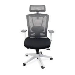 Premium Ergonomic Office Chair - Autonomous 16 Premium Ergonomic Office Chair - Autonomous -WorkHaven Sales Shop GUEST 8dee349b f4cf 409e b48c 7a7d89854194