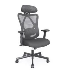 Tandera Mesh Ergonomic Swivel Office Chair - MiBasics 15 Tandera Mesh Ergonomic Swivel Office Chair - MiBasics -WorkHaven Sales Shop GUEST be855f7f 28da 4d72 a86f 5265c851f2e1