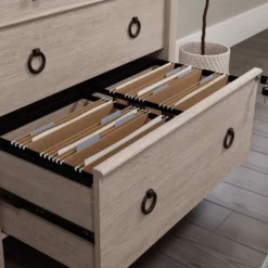 East Adara 2 Drawer File Cabinet Cascade Oak - Sauder -WorkHaven Sales Shop GUEST e1daabeb d344 4571 8990 33db7abf68b1